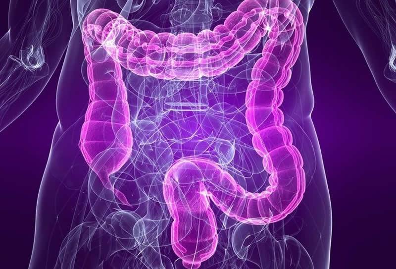 Maio Roxo: conscientização sobre doenças inflamatórias intestinais